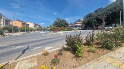 Taglio verde Massa Marittima