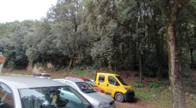 Anticendi boschivi 2