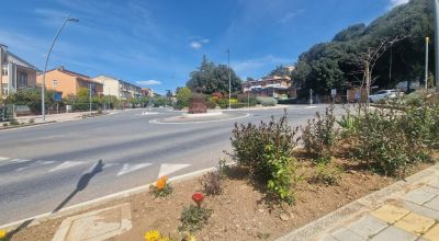 Taglio verde Massa Marittima