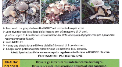 corso su raccolta e consumo funghi