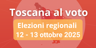 ELEZIONI REGIONALI 2025