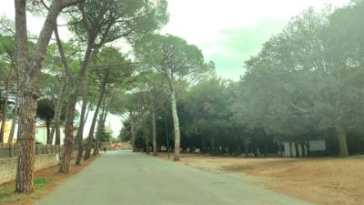 Parco di Poggio