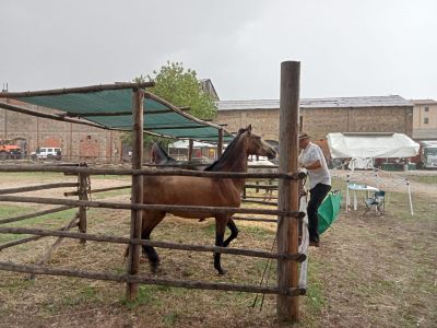 Fiera di Ghirlanda