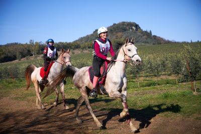 Endurance Massa Marittima