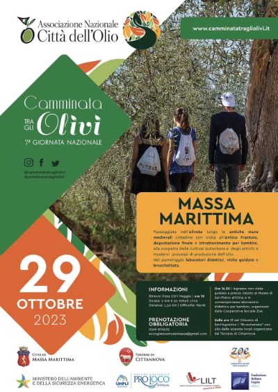 Camminata fra gli ulivi Camminata fra gli ulivi