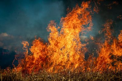 Incendi boschivi