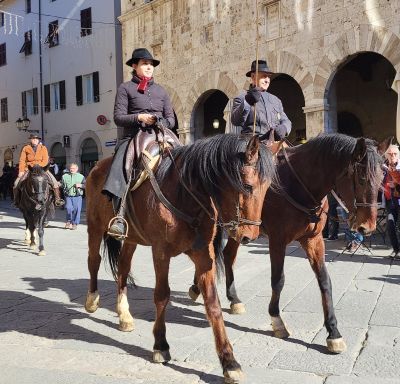 Cavalli in Piazza Garibaldi per la Festa di Sant'Antonio