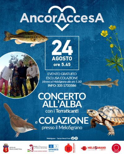 AncorAccesa