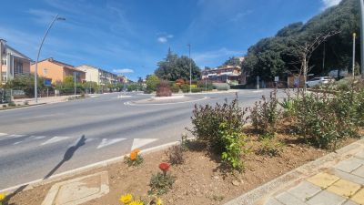Aiuole con fiori