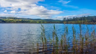 Lago dell'Accesa, Massa Marittima Lago dell'Accesa, Massa Marittima