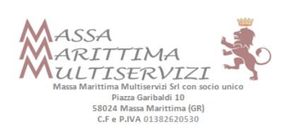 Logo Massa Marittima Multiservizi