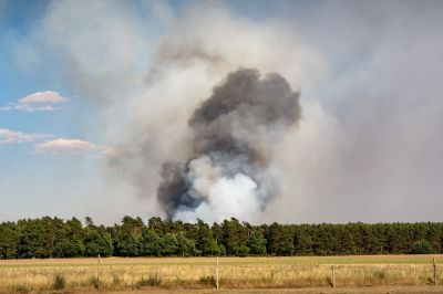 Fotografia di un area di campagna e di un bosco dietro da cui esce del fuomo per un incendio