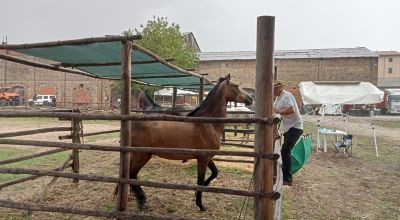 Fiera di Ghirlanda