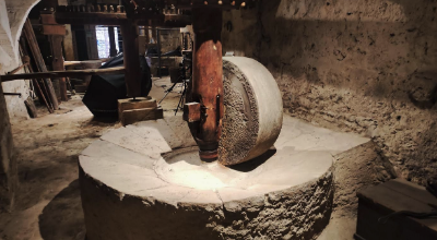 Frantoio Massa Marittima