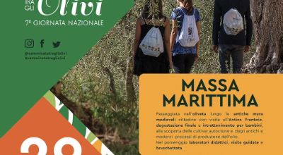 Camminata fra gli ulivi