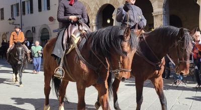 Cavalli in Piazza Garibaldi per la Festa di Sant'Antonio