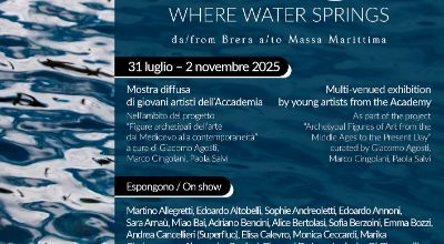 Locandina DOVE NASCE L'ACQUA