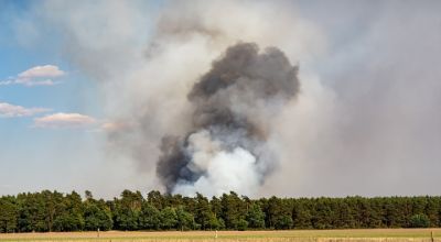 Fotografia di un area di campagna e di un bosco dietro da cui esce del fuomo per un incendio