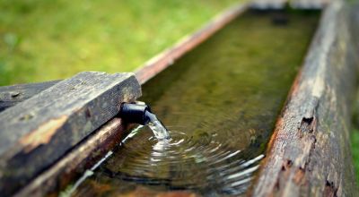 Fotografia di acqua che sgorga da una fonte