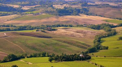 Fotografia dall'alto di una zona di campagna